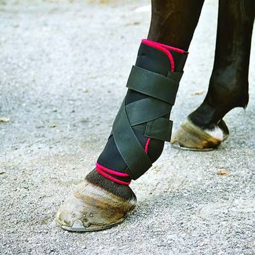 TSM bandages for the rear pastern joint in horses innoHorse
