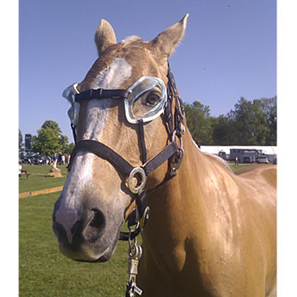 equine goggles FoxPro eye protection goggles for polo horses – innoHorse