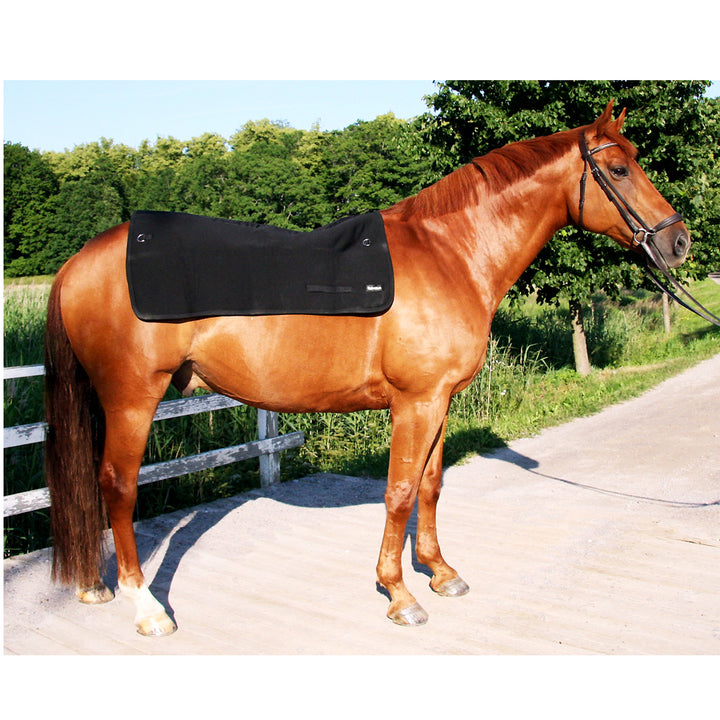 Back on Track Rückenwärmer Pferd