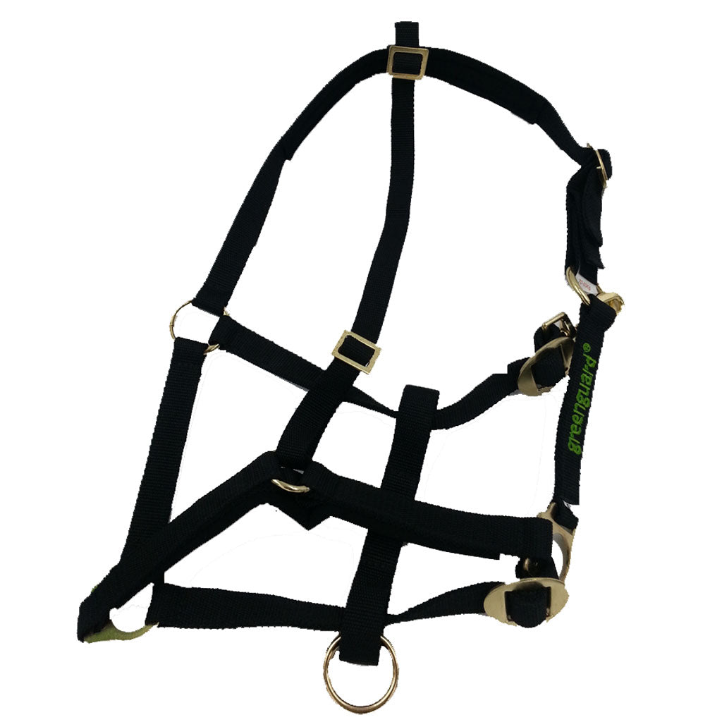 Special Halter for Greenguard Muzzle