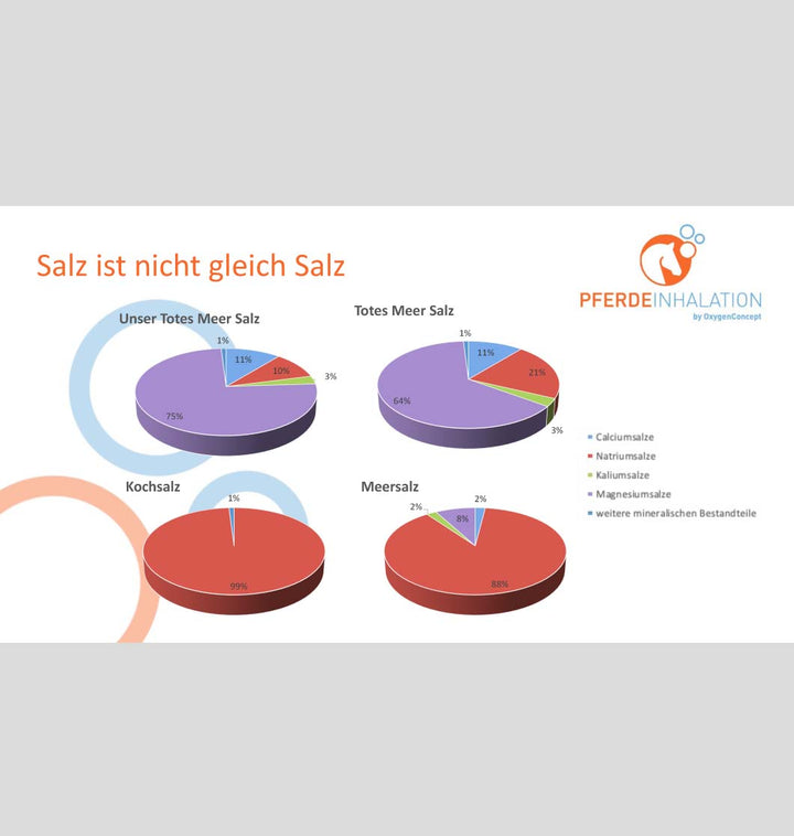 Sole "Totes Meer" für die Inhalation bei Pferden