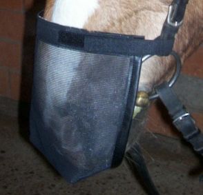 innoHorse Nose Cover für Trensen ohne Nasenriemen schwarz