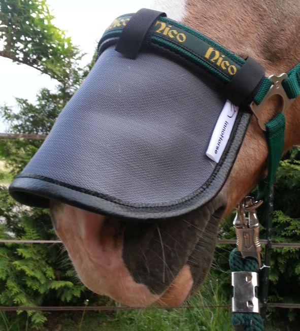 sonnensegel pferde innoHorse Sonnenschutz/Nasennetz NOSE SCREEN für Pferde