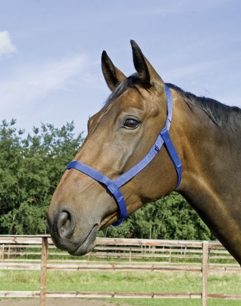 Spezialhalfter Pferd WEIDE (lightweight)