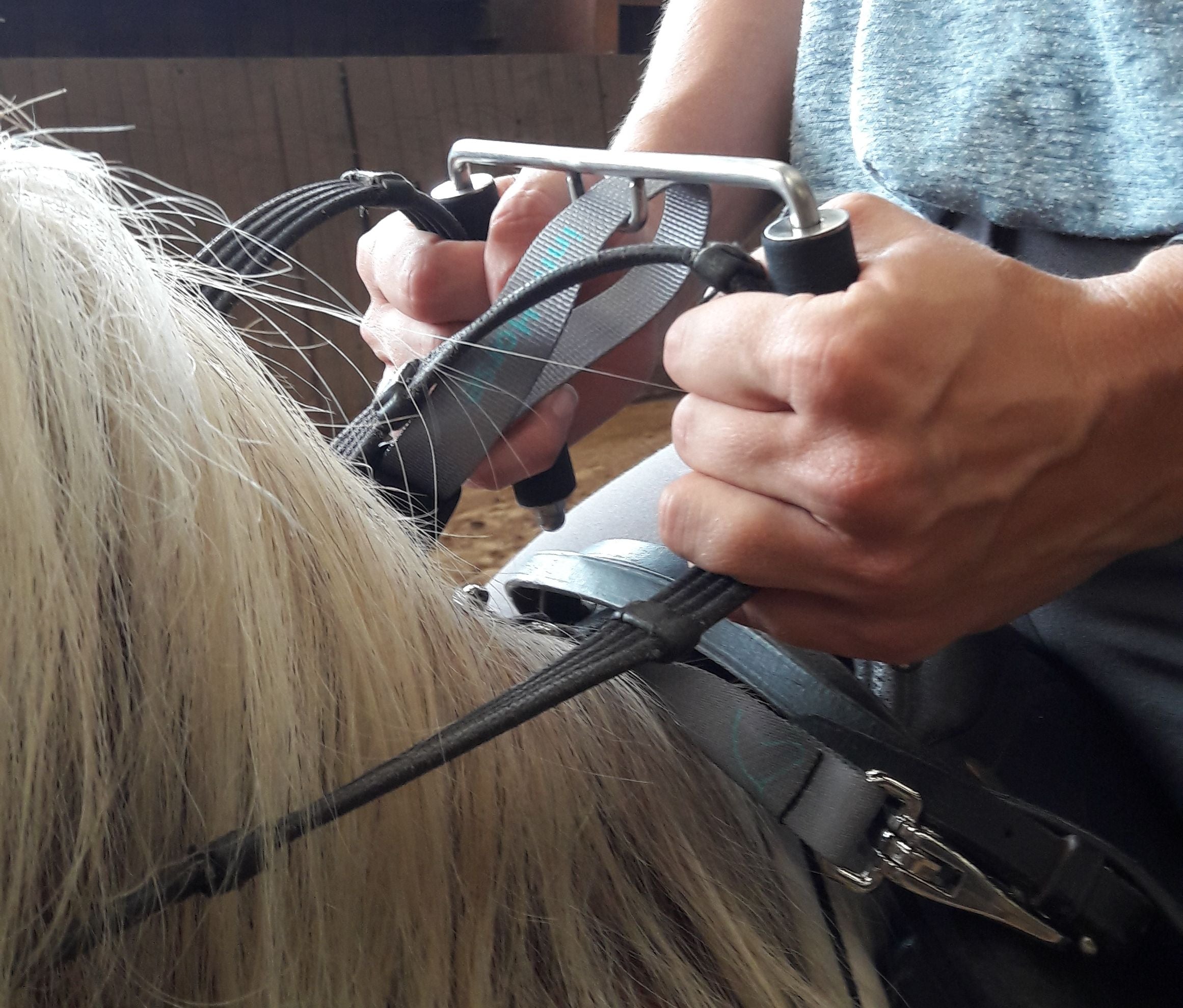 Correct hand position when learning to ride – innoHorse