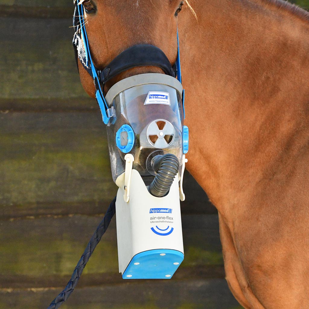 Atemwegserkrankungen beim Pferd
