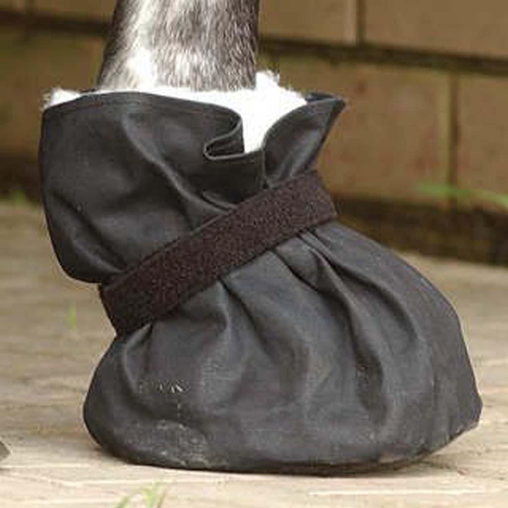Pferd: Hufprobleme