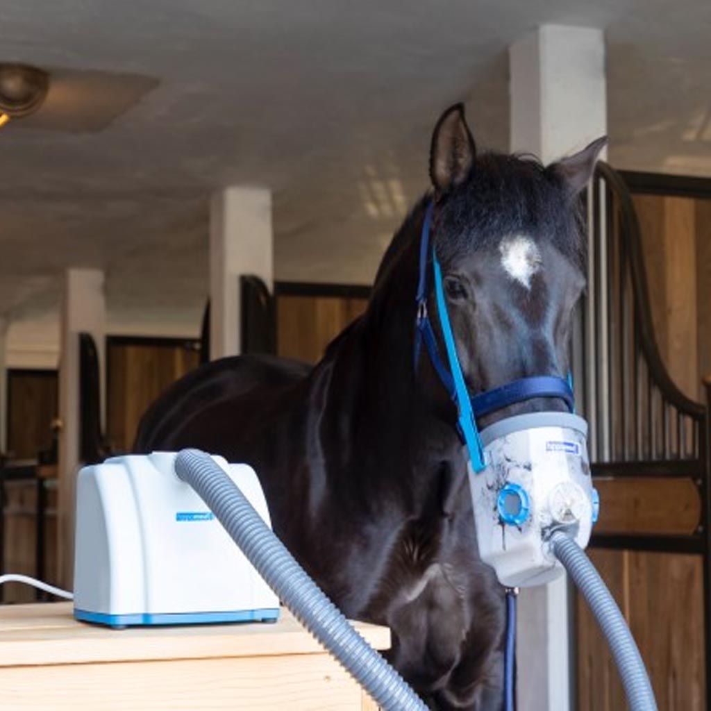 AIR ONE Ultraschall-Inhalator für Pferde / Netzbetrieb (inklusive Maske Vollblut/Warmblut)