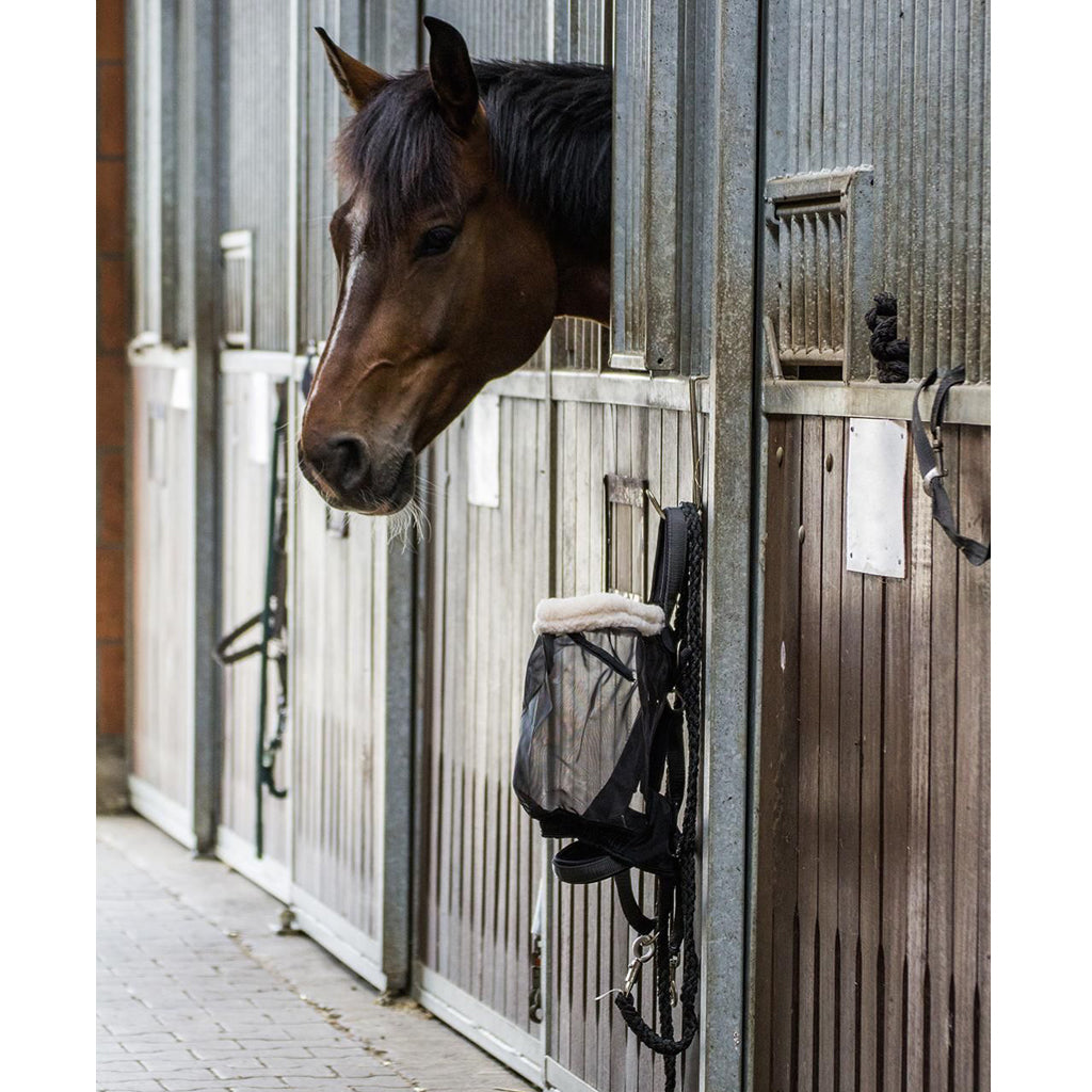 COMBI Fly Mask for fixation at headcollar