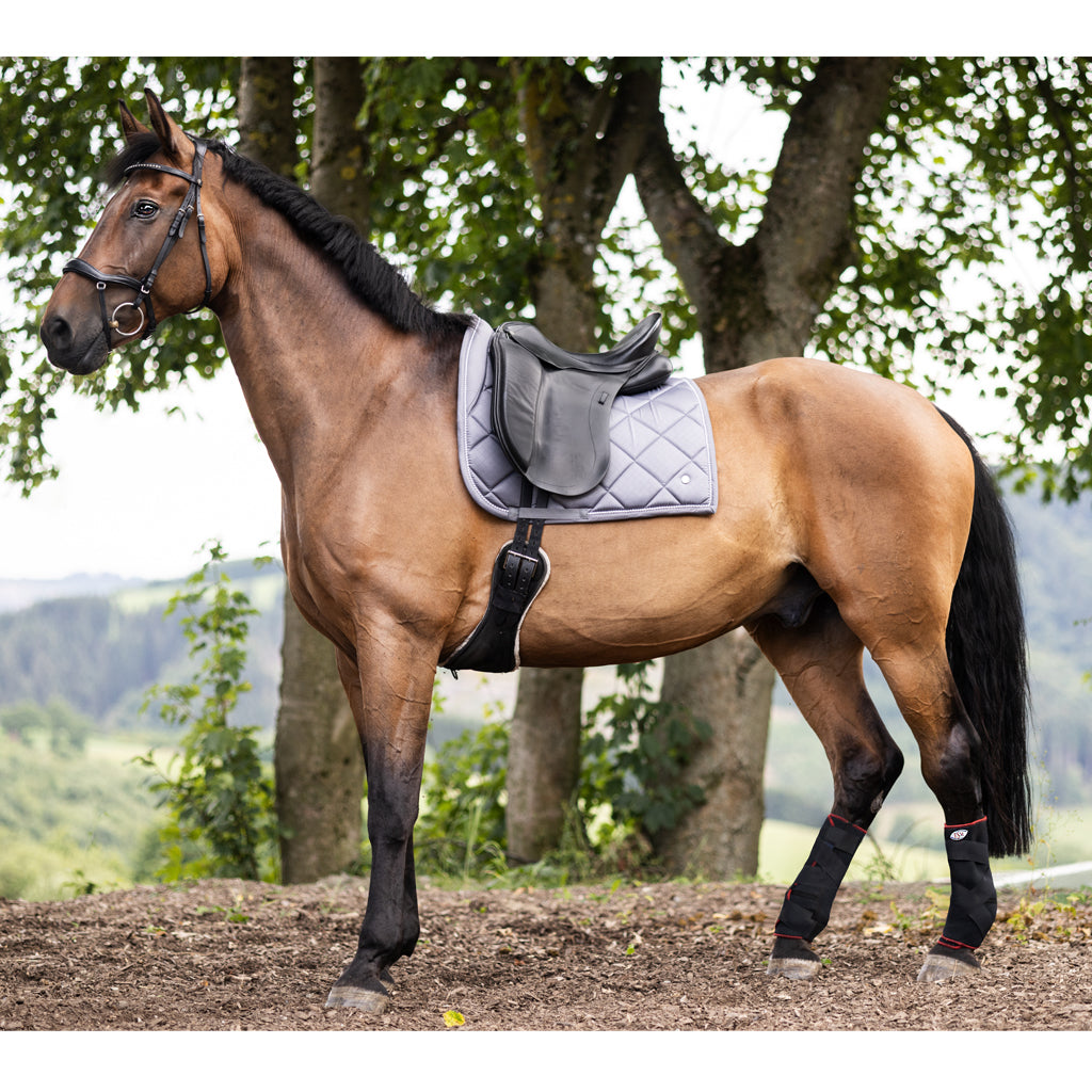 TSM-Bandagen Pferd für das Fesselgelenk hinten (Paar)