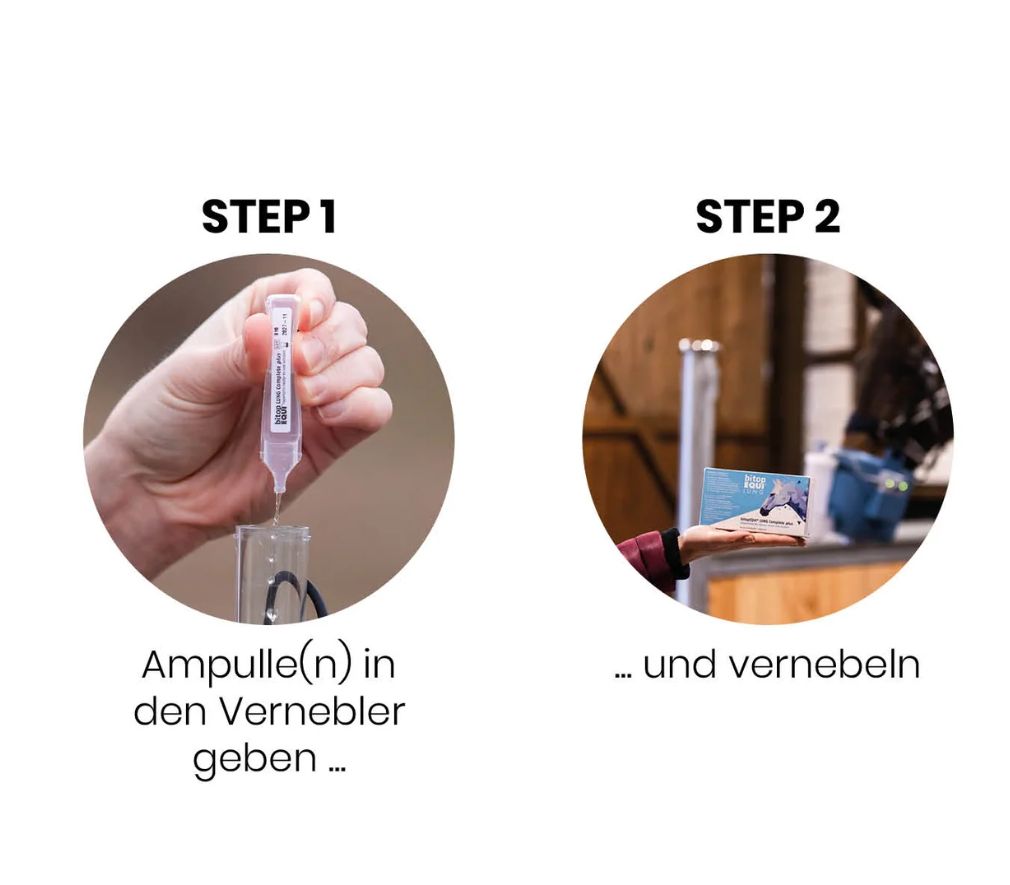 bitopEQUI® LUNG Complete plus – hypertonic inhalation solution for horses (30 x 5 ml)