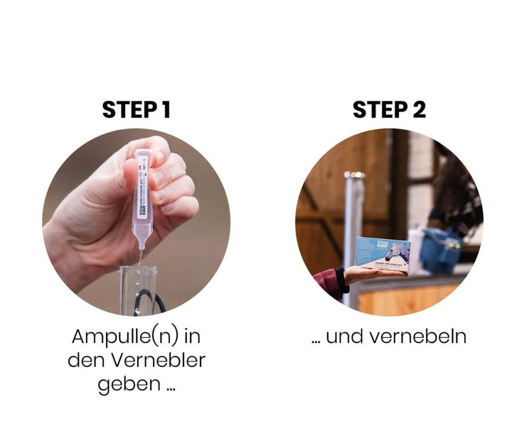bitopEQUI® LUNG Complete plus – hypertonic inhalation solution for horses (30 x 5 ml)