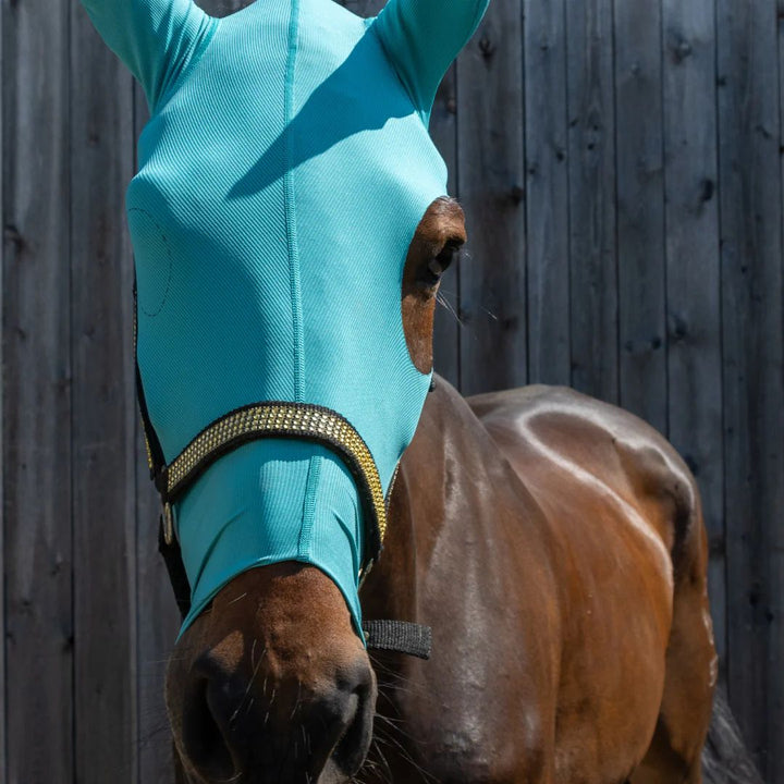 VMC head, eye and ear protection mask for horses