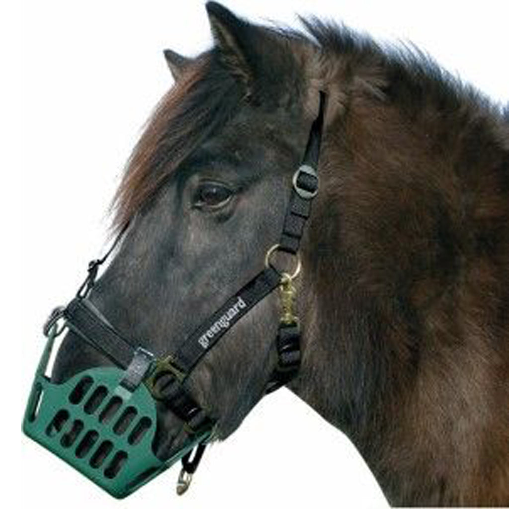 GREENGUARD Weidemaulkorb / Fressbremse Größe Warmblut