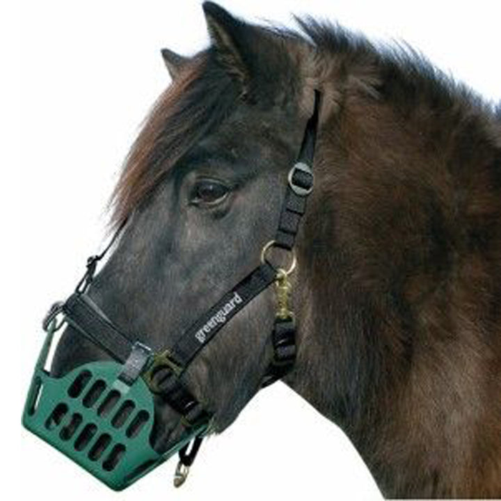 GREENGUARD Weidemaulkorb / Fressbremse Größe Warmblut