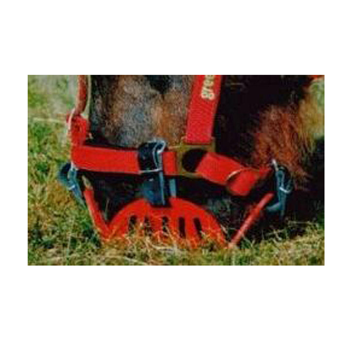 GREENGUARD Grazing Muzzle Size Small Pony