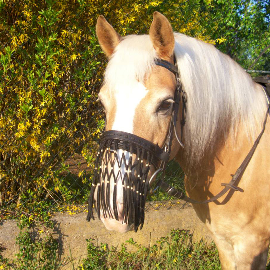 Nüsternfransen Pferd NOSE STRINGS (für Großpony bis Warmblut)