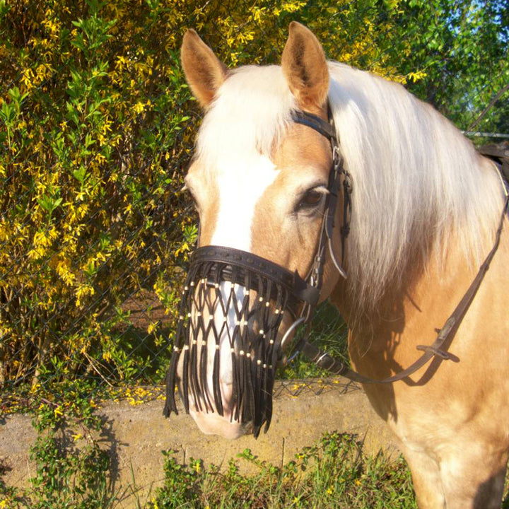 Nüsternfransen Pferd NOSE STRINGS (für Großpony bis Warmblut)