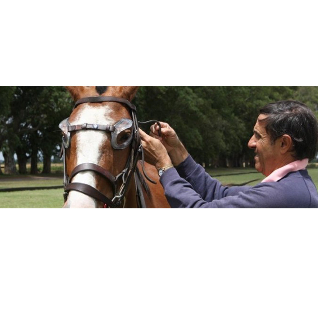 POLO Pferdeschutzbrille / Equine Eye Protection