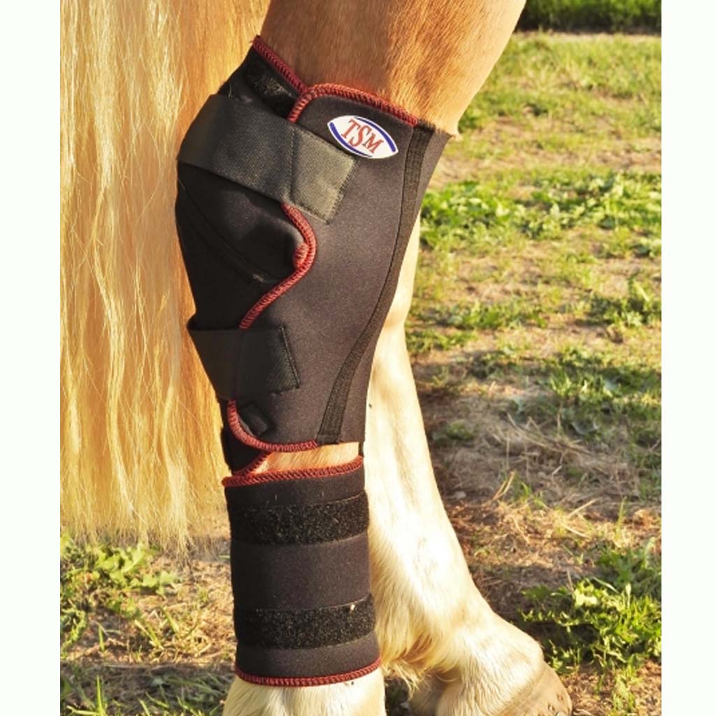TSM padding bandage for the hock joint in horses – innoHorse