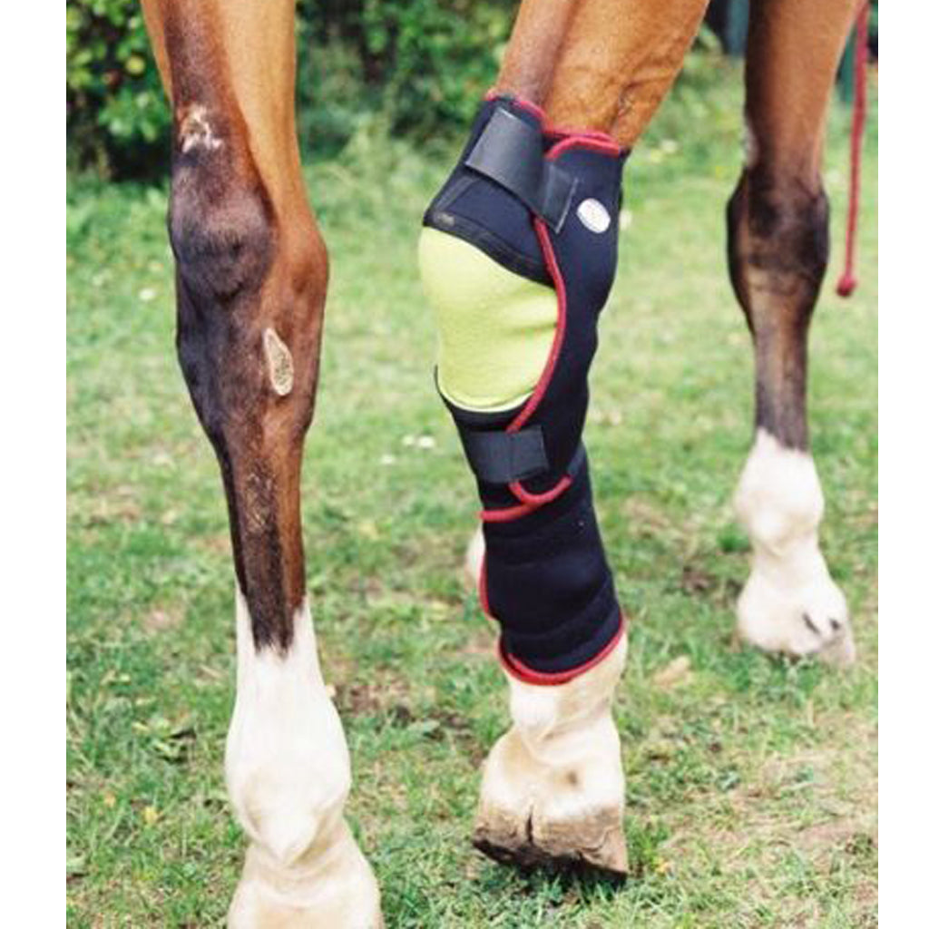 Hock Balancer TSM padding bandage for the hock joint in horses – innoHorse