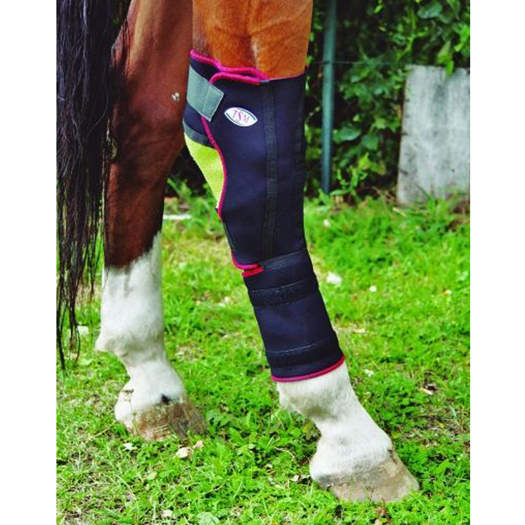 TSM Horse Padded Bandage for Hock (single)