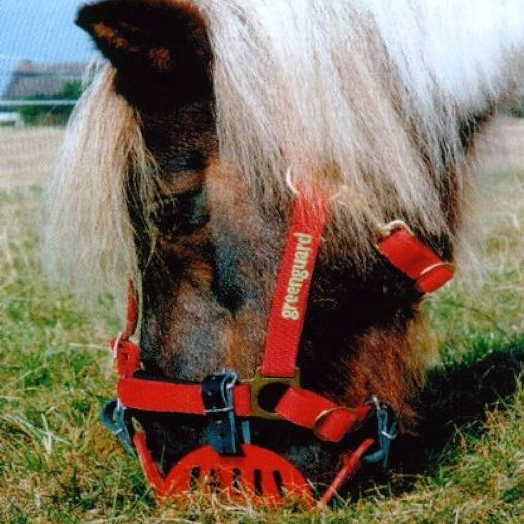 GREENGUARD Weidemaulkorb für Ponys Größe Shetty