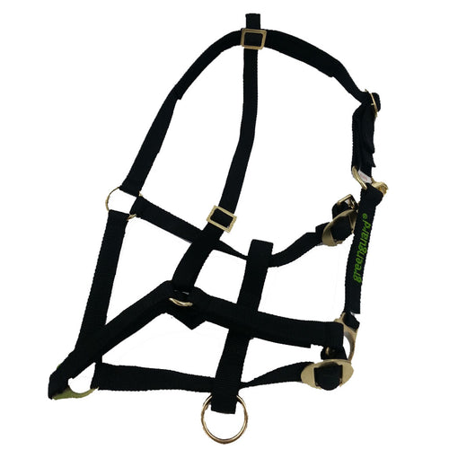 Special Halter for Greenguard Muzzle