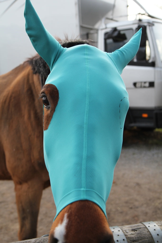 fertig angezogene VMC Schutzmaske für Pferde