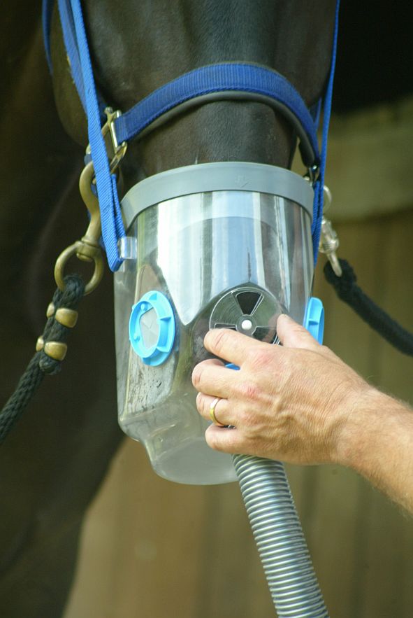 Atemmaske Ultraschall-Inhalator Air One für Pferde 