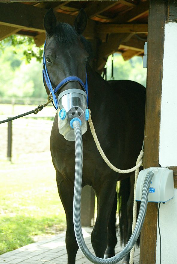 Ultraschall-Inhalator Air One für Pferde mit Atemmaske