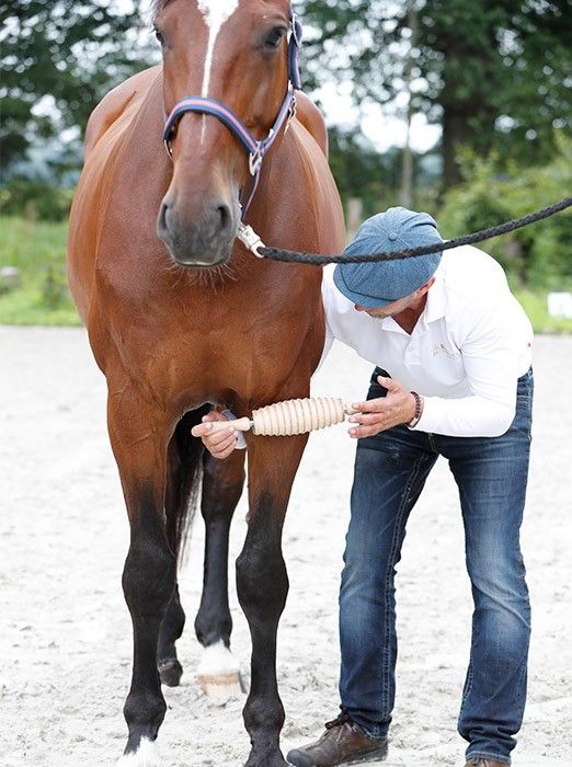 Faszienrollen beim Pferd