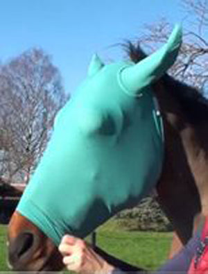 VMC Pferde-Schutzmaske mit darunter angebrachtem Augenabstandshalter.