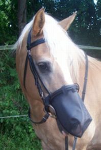 innoHorse nostril net “Nose Cover” for english/combined Noseband