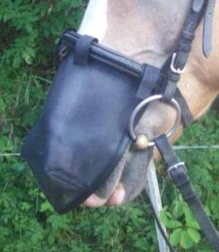 NOSE COVER for Riding (Bridles with Flash Noseband) 