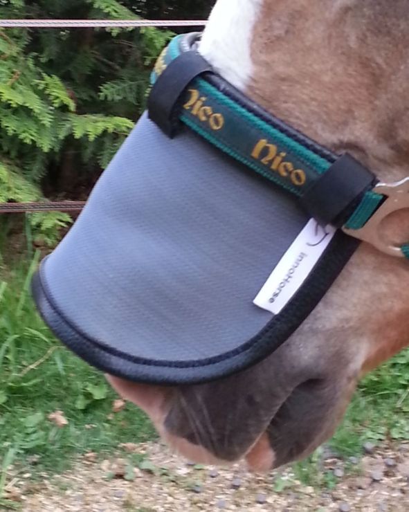 sonnensegel pferde innoHorse Sonnenschutz/Nasennetz NOSE SCREEN für Pferde