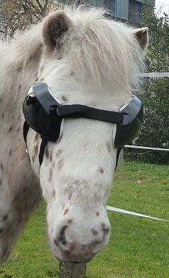 FoxPro UV-Schutzbrille für Pferde