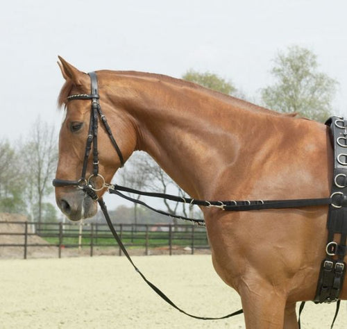 Side Reins SNAP (Pair)